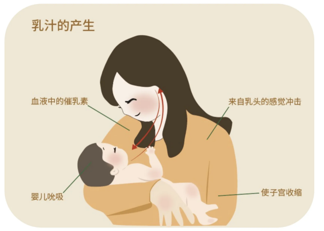 微信圖片_2025-08-07_171651_253.png 微信圖片_2025-08-07_171651_253.png